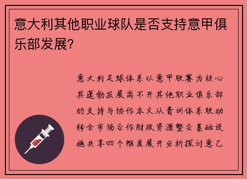 意大利其他职业球队是否支持意甲俱乐部发展？